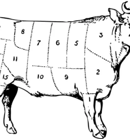 Domace goveje meso stajerska